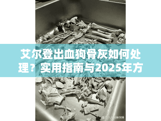 艾尔登出血狗骨灰如何处理?实用指南与2025年方案 艾尔登出血狗骨灰如何处理?实用指南与2025年方案