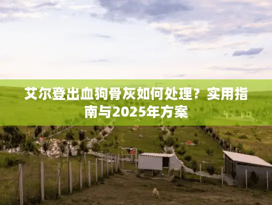 艾尔登出血狗骨灰如何处理?实用指南与2025年方案 艾尔登出血狗骨灰如何处理?实用指南与2025年方案