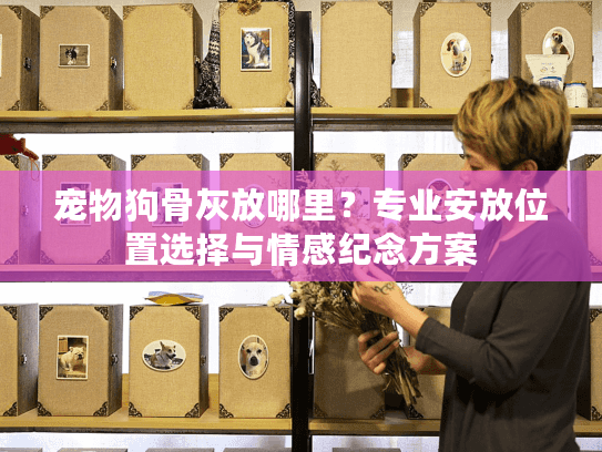 宠物狗骨灰放哪里？专业安放位置选择与情感纪念方案