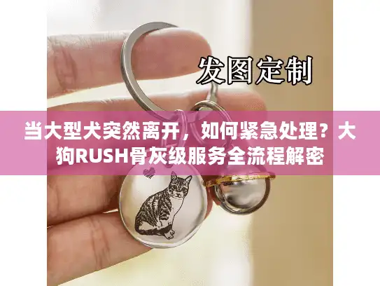 当大型犬突然离开，如何紧急处理？大狗RUSH骨灰级服务全流程解密