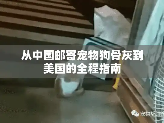 从中国邮寄宠物狗骨灰到美国的全程指南