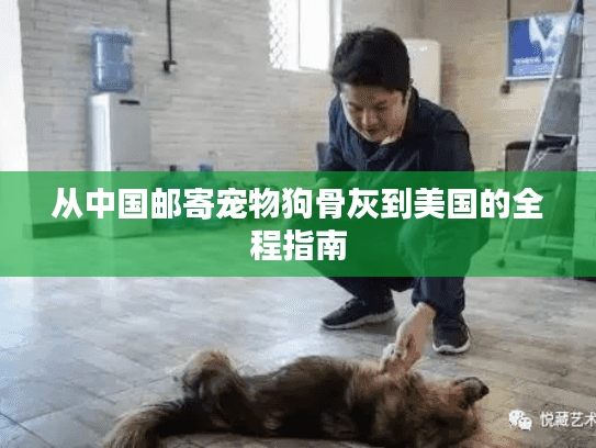 从中国邮寄宠物狗骨灰到美国的全程指南