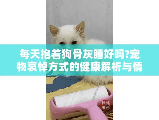 每天抱着狗骨灰睡好吗?宠物哀悼方式的健康解析与情感建议