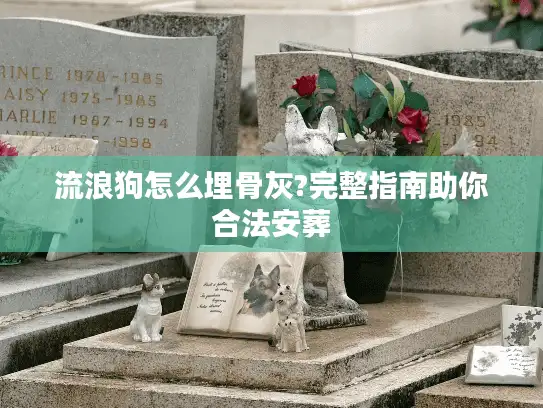 流浪狗怎么埋骨灰?完整指南助你合法安葬 流浪狗怎么埋骨灰?完整指南助你合法安葬