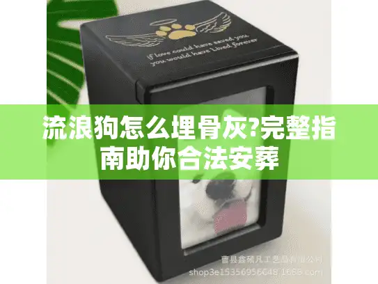 流浪狗怎么埋骨灰?完整指南助你合法安葬 流浪狗怎么埋骨灰?完整指南助你合法安葬