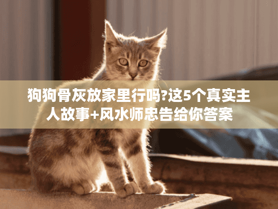 狗狗骨灰放家里行吗?这5个真实主人故事+风水师忠告给你答案 狗狗骨灰放家里行吗?这5个真实主人故事+风水师忠告给你答案