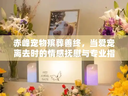 赤峰宠物殡葬善终，当爱宠离去时的情感抚慰与专业指南
