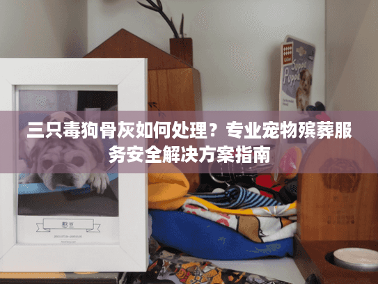 三只毒狗骨灰如何处理?专业宠物殡葬服务安全解决方案指南 三只毒狗骨灰如何处理?专业宠物殡葬服务安全解决方案指南