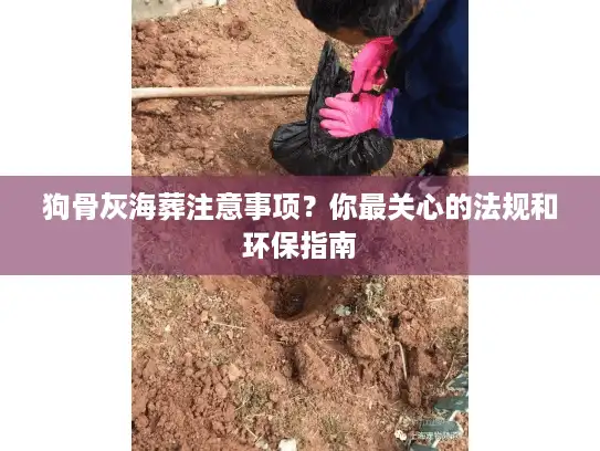 狗骨灰海葬注意事项?你最关心的法规和环保指南 狗骨灰海葬注意事项?你最关心的法规和环保指南
