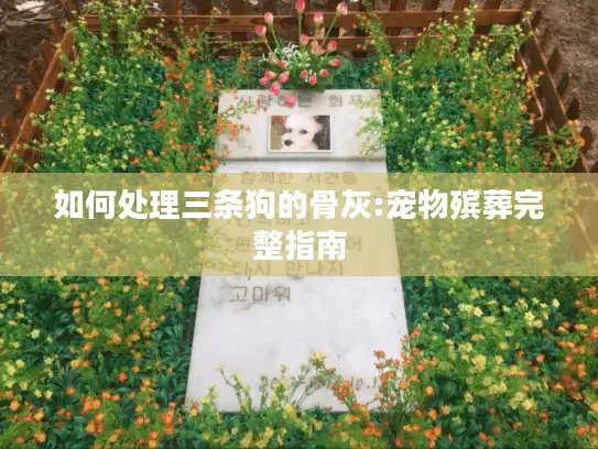 如何处理三条狗的骨灰:宠物殡葬完整指南