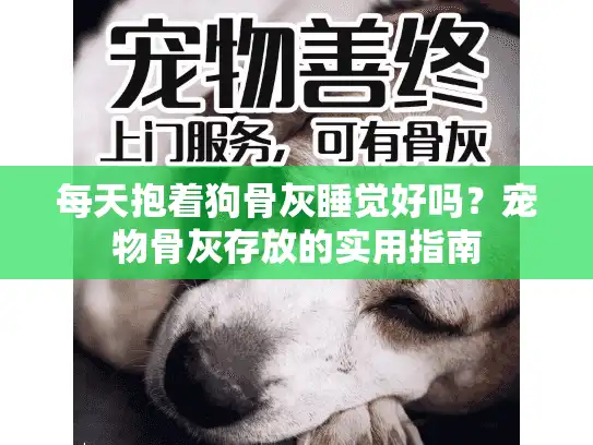 每天抱着狗骨灰睡觉好吗？宠物骨灰存放的实用指南