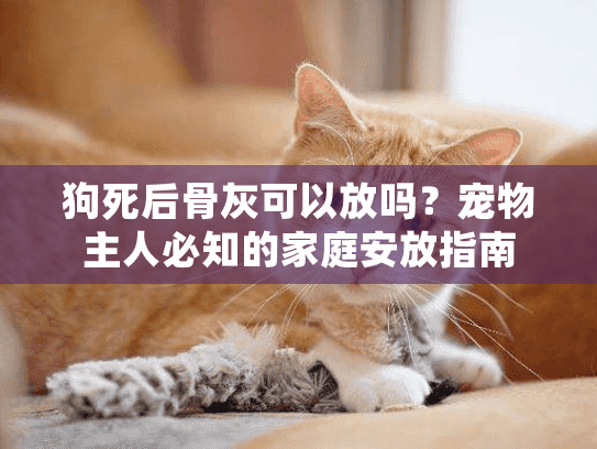 狗死后骨灰可以放吗?宠物主人必知的家庭安放指南 狗死后骨灰可以放吗?宠物主人必知的家庭安放指南