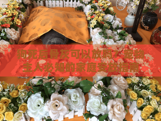 狗死后骨灰可以放吗?宠物主人必知的家庭安放指南 狗死后骨灰可以放吗?宠物主人必知的家庭安放指南