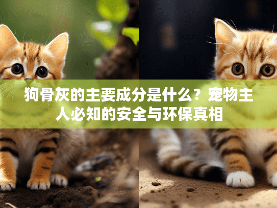狗骨灰的主要成分是什么？宠物主人必知的安全与环保真相