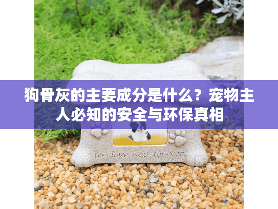 狗骨灰的主要成分是什么？宠物主人必知的安全与环保真相