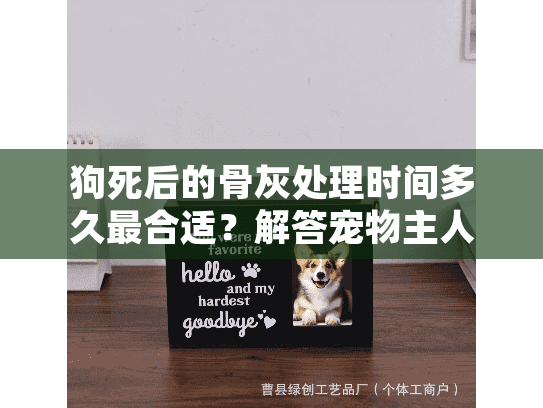 狗死后的骨灰处理时间多久最合适？解答宠物主人困惑