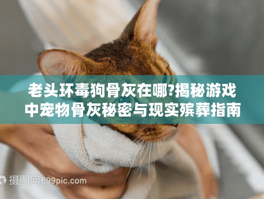 老头环毒狗骨灰在哪?揭秘游戏中宠物骨灰秘密与现实殡葬指南