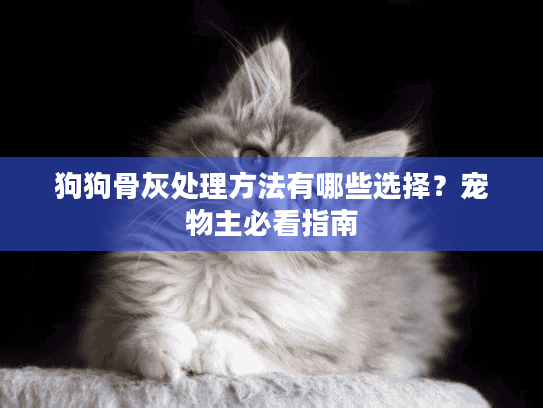 狗狗骨灰处理方法有哪些选择?宠物主必看指南 狗狗骨灰处理方法有哪些选择?宠物主必看指南