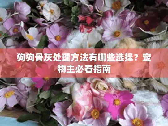 狗狗骨灰处理方法有哪些选择?宠物主必看指南 狗狗骨灰处理方法有哪些选择?宠物主必看指南