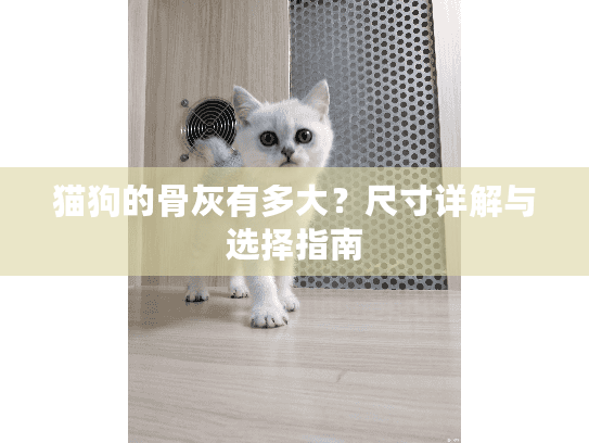 猫狗的骨灰有多大？尺寸详解与选择指南
