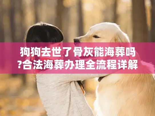 狗狗去世了骨灰能海葬吗?合法海葬办理全流程详解