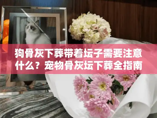 狗骨灰下葬带着坛子需要注意什么？宠物骨灰坛下葬全指南