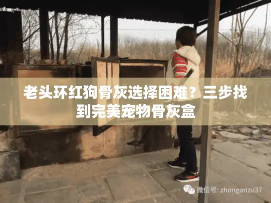 老头环红狗骨灰选择困难？三步找到完美宠物骨灰盒