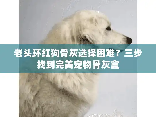 老头环红狗骨灰选择困难？三步找到完美宠物骨灰盒
