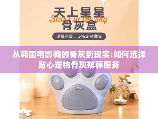 从韩国电影狗的骨灰到现实:如何选择贴心宠物骨灰殡葬服务