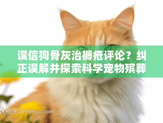 误信狗骨灰治褥疮评论？纠正误解并探索科学宠物殡葬