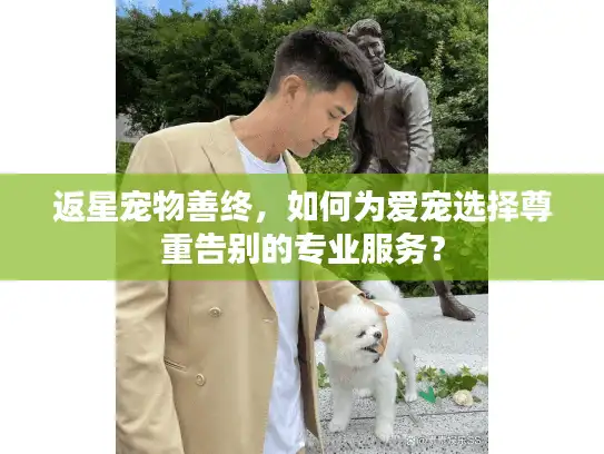 返星宠物善终，如何为爱宠选择尊重告别的专业服务？