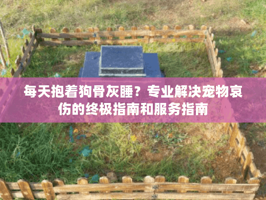 每天抱着狗骨灰睡？专业解决宠物哀伤的终极指南和服务指南