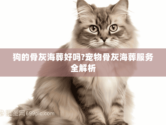 狗的骨灰海葬好吗?宠物骨灰海葬服务全解析