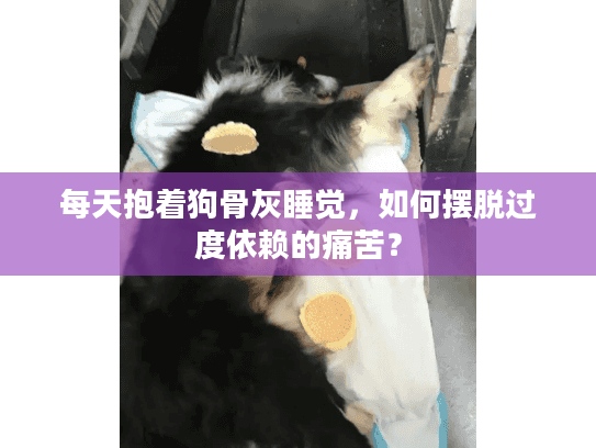 每天抱着狗骨灰睡觉，如何摆脱过度依赖的痛苦？