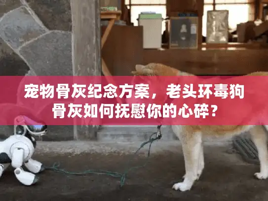 宠物骨灰纪念方案，老头环毒狗骨灰如何抚慰你的心碎？