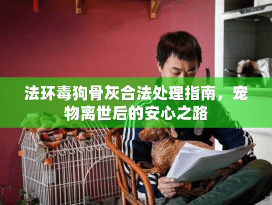 法环毒狗骨灰合法处理指南，宠物离世后的安心之路