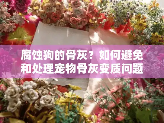 腐蚀狗的骨灰？如何避免和处理宠物骨灰变质问题