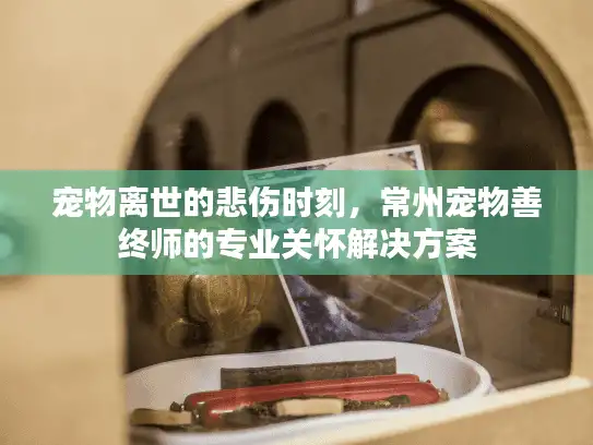 宠物离世的悲伤时刻，常州宠物善终师的专业关怀解决方案