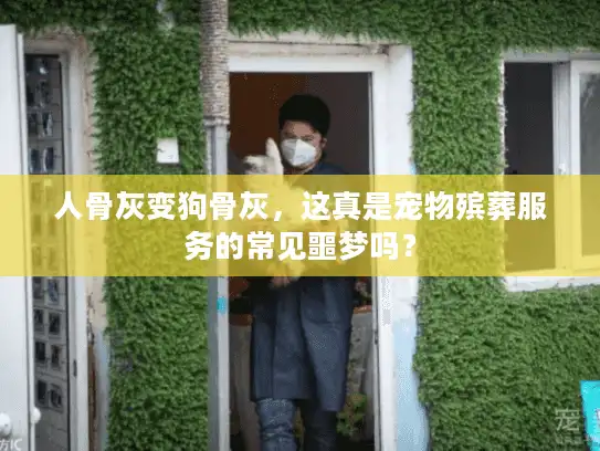 人骨灰变狗骨灰,这真是宠物殡葬服务的常见噩梦吗? 人骨灰变狗骨灰,这真是宠物殡葬服务的常见噩梦吗?