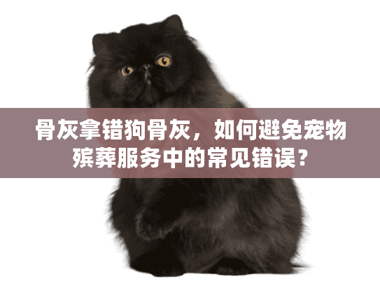 骨灰拿错狗骨灰,如何避免宠物殡葬服务中的常见错误? 骨灰拿错狗骨灰,如何避免宠物殡葬服务中的常见错误?