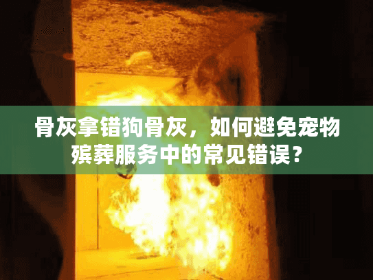 骨灰拿错狗骨灰,如何避免宠物殡葬服务中的常见错误? 骨灰拿错狗骨灰,如何避免宠物殡葬服务中的常见错误?