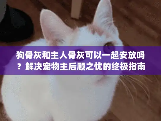狗骨灰和主人骨灰可以一起安放吗?解决宠物主后顾之忧的终极指南 狗骨灰和主人骨灰可以一起安放吗?解决宠物主后顾之忧的终极指南