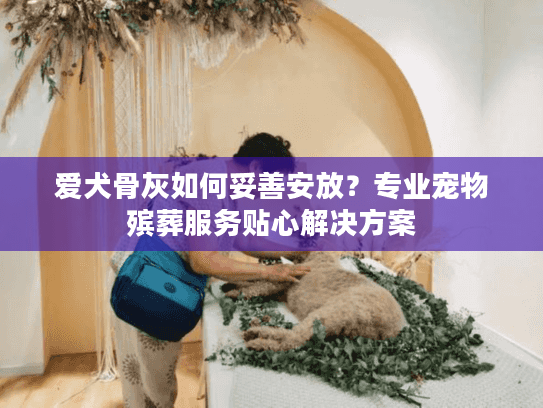 爱犬骨灰如何妥善安放？专业宠物殡葬服务贴心解决方案