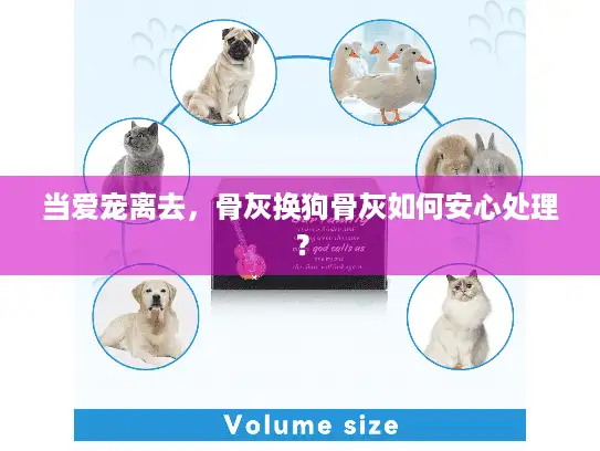 当爱宠离去,骨灰换狗骨灰如何安心处理? 当爱宠离去,骨灰换狗骨灰如何安心处理?