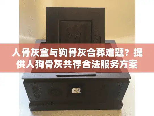 人骨灰盒与狗骨灰合葬难题？提供人狗骨灰共存合法服务方案