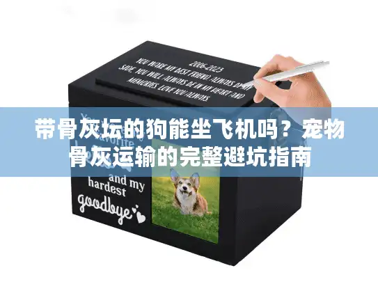 带骨灰坛的狗能坐飞机吗？宠物骨灰运输的完整避坑指南