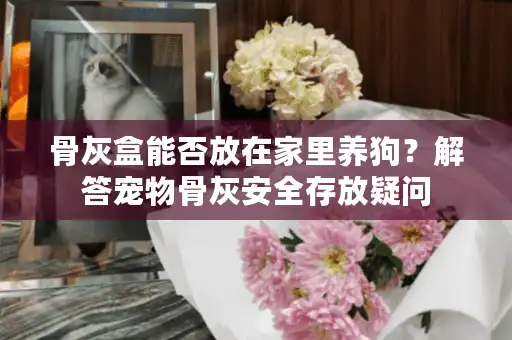 骨灰盒能否放在家里养狗？解答宠物骨灰安全存放疑问