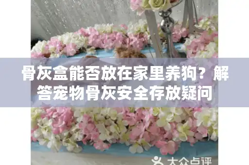 骨灰盒能否放在家里养狗？解答宠物骨灰安全存放疑问