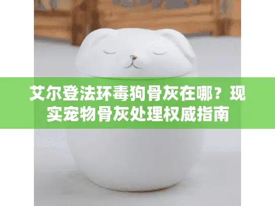 艾尔登法环毒狗骨灰在哪？现实宠物骨灰处理权威指南