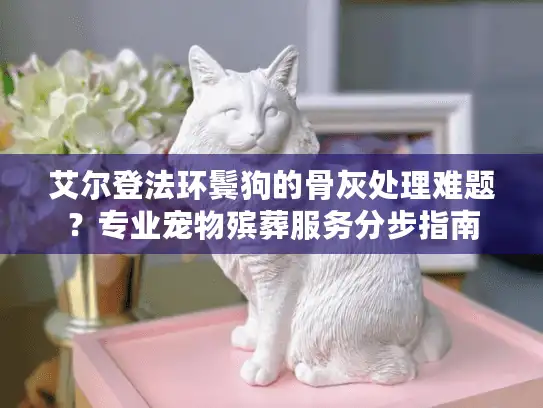 艾尔登法环鬓狗的骨灰处理难题？专业宠物殡葬服务分步指南